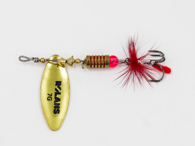 ROL-BUG-DR7-006 (3)